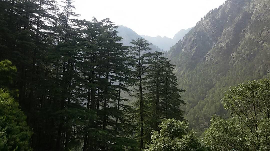 Hotel Deep Forest Kasol Exteriér fotografie